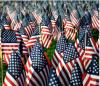 Memorial Day Flags
